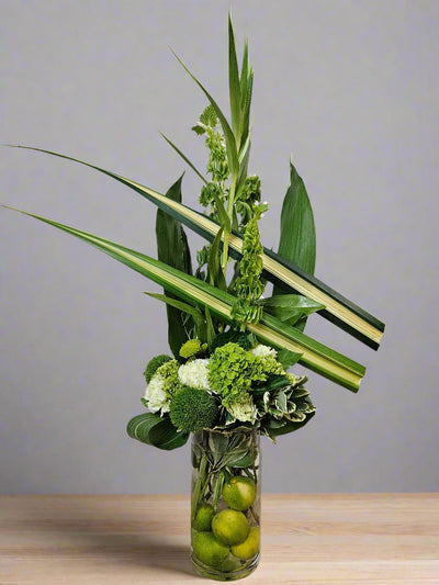 Lime Zest - Cabbage Rose