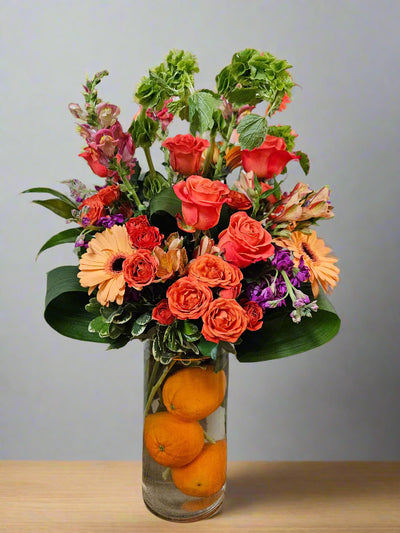 Citrus Sunrise - Cabbage Rose