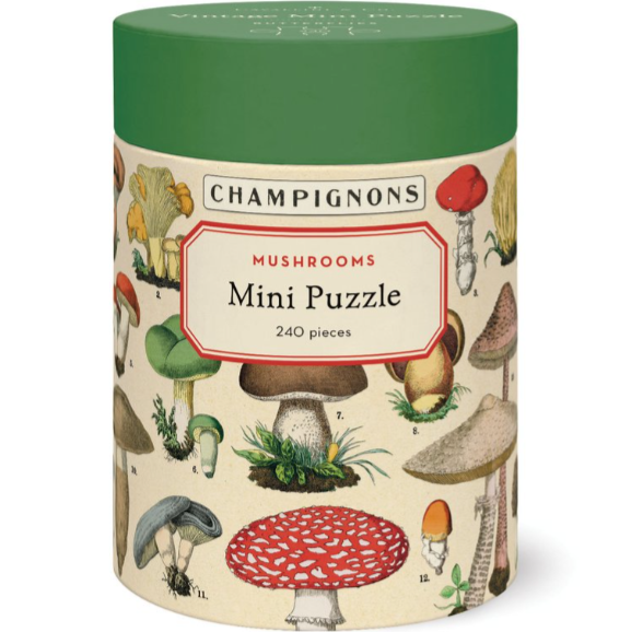 Gift Card | Cabbage Rose | Little Rock, AR | Gifts for loved ones